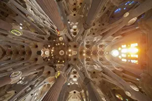 Interior of the basilica, Sagrada Familia