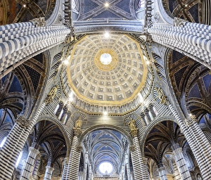Interior view, dome of the Cathedral of Siena