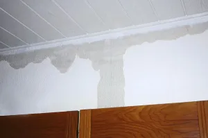 Interior, Wall with water damage, Germany, Europe