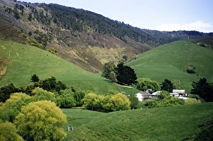 Interlocking foothills of the steep V-shaped river valley of Wild Dog Creek near Apollo Bay, Victoria, Australia, 1956, Oceania