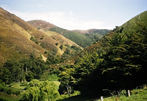 Interlocking foothills of the steep V-shaped river valley of Wild Dog Creek near Apollo Bay, Victoria, Australia, 1956, Oceania