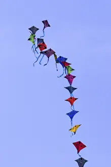 International kite festival, Surat