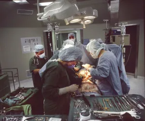 This intestinal surgery of a rare intestinal disease under the direction of the head physician Dr- Zerbian in a
