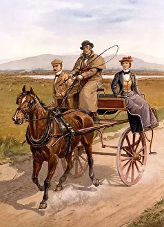 Irish jaunting car, carriage, County Waterfront