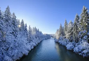 Isar, Nature reserve Isarauen in winter