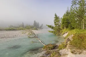 Isar valley nature conservancy area