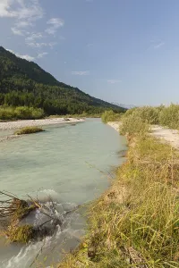Isar valley nature conservancy area