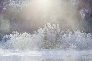 Isar valley in winter at temperatures of minus 18 degrees Celsius