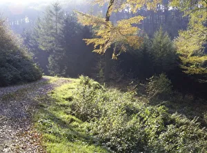 Iserlohn. Autumn in the Sauerland 1988
