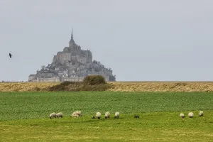 Island Mont Saint-Michel in the bay of Mont-Saint-Michel in the Wadden Sea