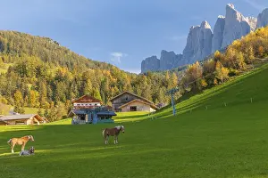 Italian Alps with horses with sun