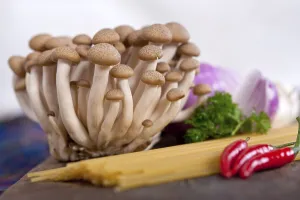 Italian pasta and mushroom sauce raw ingredients over rustic old wood