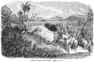 Jacob's tents and cattle, huts