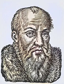 Jacques Cujas, Cujacius or Jacques de Cujas