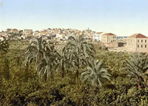 Jaffa, seen from the garden, Holy Land