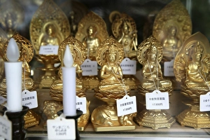 Japan, Tokyo: Shop in Kappabashi