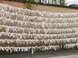 Japan, Tokyo: Strings of omikuji