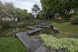 Japanese Garden, Bad Langensalza