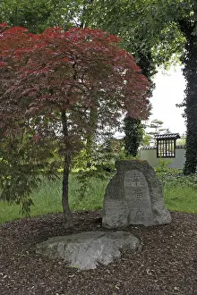 Japanese garden in Bad Langensalza