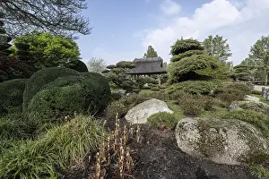 Framed Print : Japanese Garden, Park of Gardens