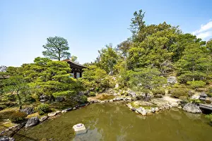 Japanese Garden with Pond, North Garden