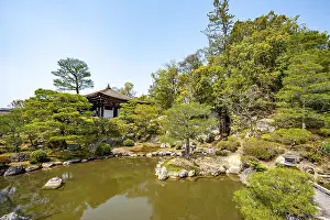 Japanese Garden with Pond, North Garden