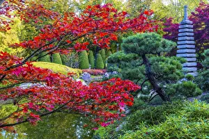 Japanese Garden in the Rhine Meadows