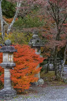 Japanese garden with stone lanterns and trees in bright autumn colors