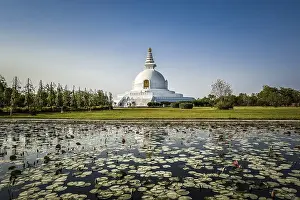 Japanese Peace Pagoda