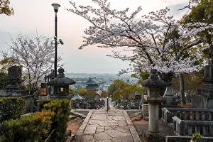 Japanese Temple with Cemetery of Cherry Blossom