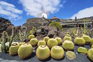 Jardin de Cactus, cactus garden Cesar Manrique