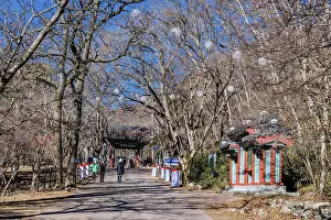 Jeongeup-si, South Korea. December 8
