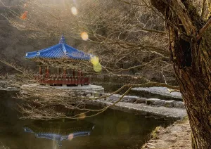Jeongeup-si, South Korea. December 8