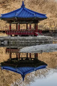 Jeongeup-si, South Korea. December 8