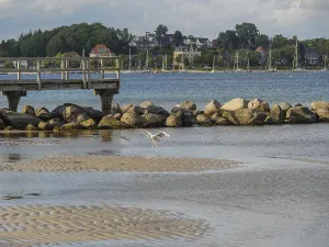 A jetty leads into the water, seagulls fly over the calm lake