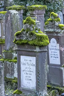 Jewish cemetery with gravestones and grave slabs with green moss