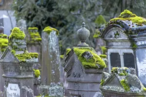 Jewish cemetery with gravestones and grave slabs with green moss