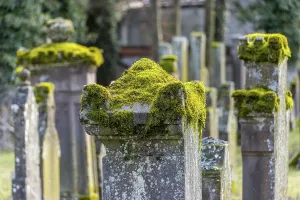 Jewish cemetery with gravestones and grave slabs with green moss