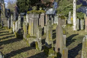 Jewish cemetery with gravestones and grave slabs with green moss