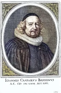 Johann Caspar Bauhin (born 12 March 1606 in Basel)