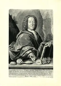 Johann Jakob Scheuchzer, author of Physica sacra or Copper Bible by Johann Jakob Scheuchzer