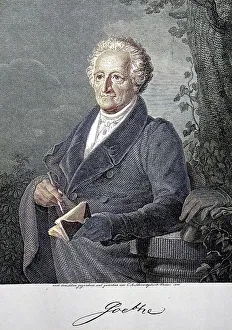 Johann Wolfgang Goethe, from 1782 von Goethe