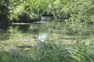 Jonzac in Charente, the Seugne