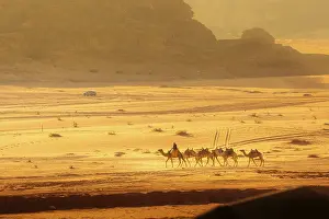 Jordan, Wadi Rum - November 2, 2022: Caravan of camels with drovers in the desert