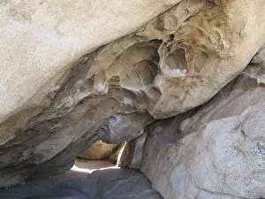 Joshua tree national park