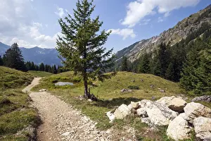 Jubilee trail in the mountain landscape of the Allgaeu Alps