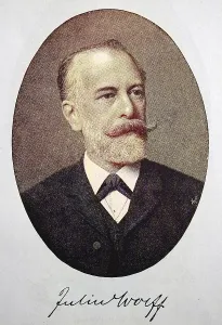 Julius Wolff, 16 September 1834 - 3 June 1910