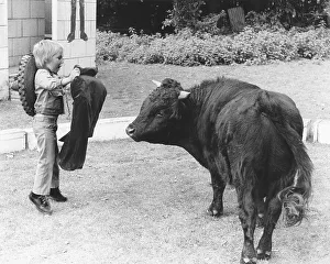 Junge plays Torero, England, Great Britain