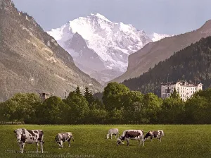 Jungfrau und Jungfraublick Hotel