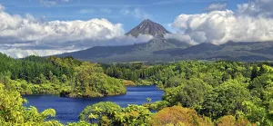 Jungle forest with lake Lake Mangammahoe and volcano Mount Taranaki
